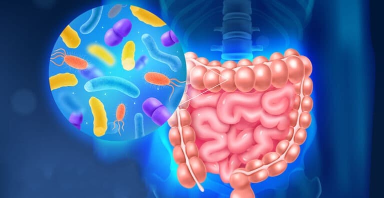 O poder da modulação intestinal – Faculdade de Saúde Avançada