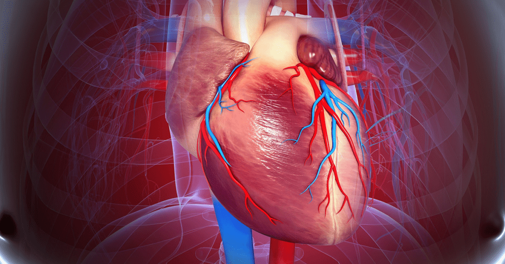 Vitamina D para saúde cardiovascular
