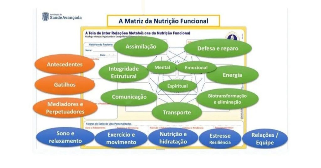 Matriz da Nutrição Funcional